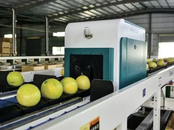 綠萌是柚子分選設備國家高新技術企業，可進行重量、大小、顏色、瑕疵外觀視覺分選，無損檢測糖度，甜度，酸度、空心、浮皮、褐變、果肉損傷、霉心病等內部指標，提供智能全自動蜜柚分選機,蜜柚分選設備,蜜柚選果機,蜜柚選果設備,蜜柚分級機,沙田柚分揀機,柚子大小稱重分選方案和價格