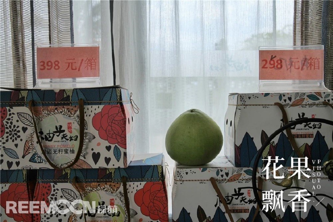 價格圖.jpg