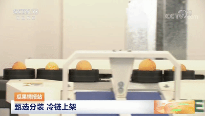 連線采訪＋現場直播7月20日CCTV農業(yè)農村頻道、央視頻APP深度報道湖北老河口黃桃產業(yè)發(fā)展情況綠萌作為果蔬智能科技分選企業(yè)憑借AI（人工智能）算法以及光譜技術為老河口黃桃產業(yè)賦能而亮相央視在此之前綠萌因為中國果蔬采后標準建設賦能已經多次亮相于央視黃桃作為老河口的“富農果”，身肩重任。全市3.5萬畝黃桃如何打造價格