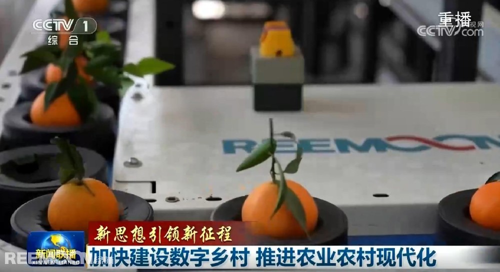 又又又上央視了2025開(kāi)年見(jiàn)喜綠萌在半月之內(nèi)兩次登上《新聞聯(lián)播》2025年1月1日央視《新聞聯(lián)播》聚焦《甘肅省天水市麥積區(qū)南山花牛蘋(píng)果》其中一組畫(huà)面中綠萌蘋(píng)果雙通道分選線(xiàn)上鏡這條分揀線(xiàn)對(duì)蘋(píng)果的大小、色澤、瑕疵、糖度、霉心等指標(biāo)進(jìn)行精準(zhǔn)檢測(cè)分級(jí)助推花牛蘋(píng)果做大做強(qiáng)助力果農(nóng)增收致富10