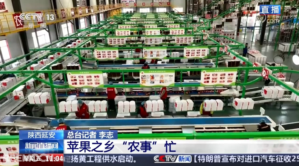 春天是希望的季節(jié)陜西延安是我國蘋果的優(yōu)生區(qū)和主產(chǎn)區(qū)蘋果之鄉(xiāng)正呈現(xiàn)出一片繁忙的景象3月28日，CCTV13新聞頻道聚焦陜西延安蘋果產(chǎn)業(yè)發(fā)展展現(xiàn)中國農(nóng)業(yè)現(xiàn)代化與鄉(xiāng)村振興的生動實踐PART.01智能分選線：給蘋果做“體檢”，助力果農(nóng)增收致富延安甘泉縣分揀車間內(nèi)綠萌智能分選設(shè)備高效運轉(zhuǎn)通過人工智能和圖像處理技術(shù)對傳送帶上的